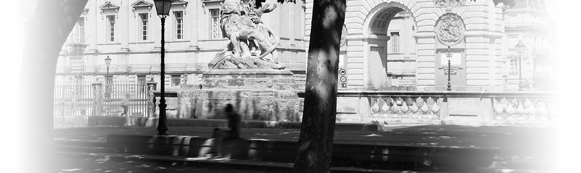 Avocat Montpellier - droit du travail - maitre bonnafous - Montpellier Peyrou